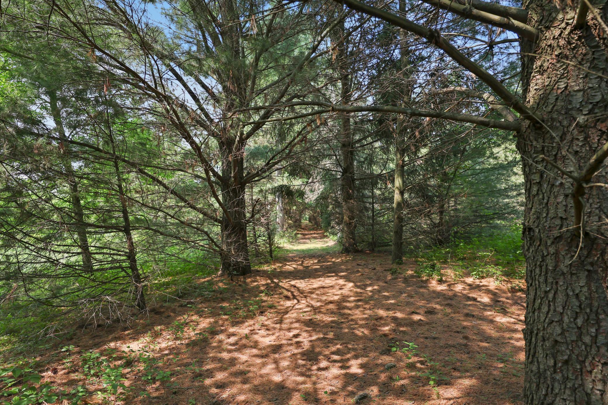 4040 Ricecliff Lane Rice, MN 56367 - Photo 107 of 124
