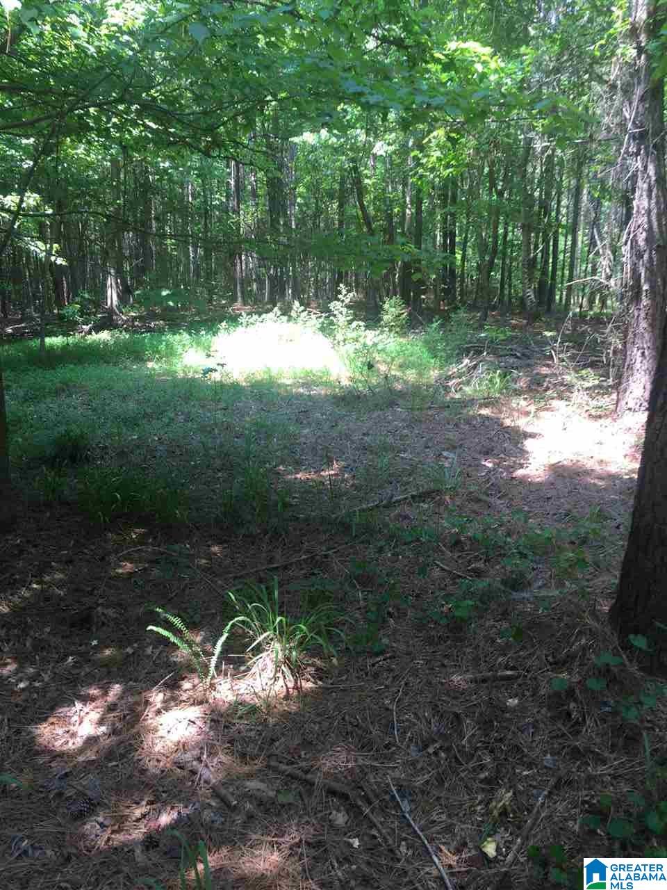 0 Rendalia Motorway, Unit 29 ACRES Talladega, AL 35160 - Photo 8 of 21