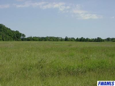 -0000 County Road 61 Butler, IN 46721 - Photo 1 of 1