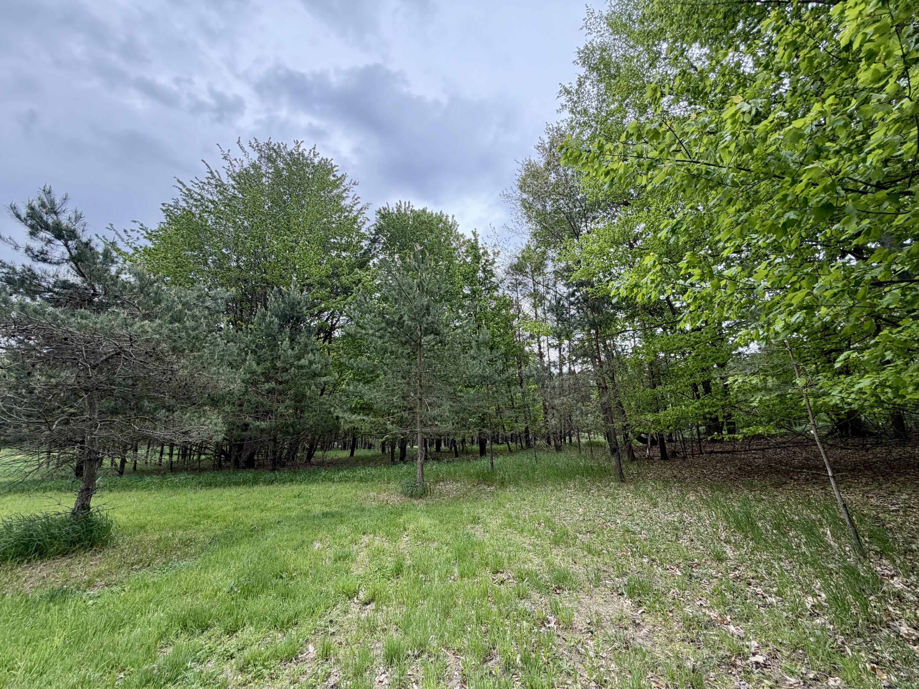 9435 East Garfield Road Hesperia, MI 49421 - Photo 35 of 36 IMG_0480