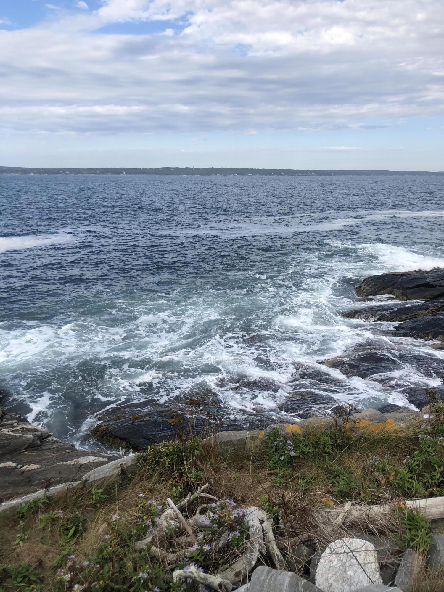 35 West Strand Loop New Harbor, ME 04554 - Photo 4 of 7 2020-10-01 09.34.29