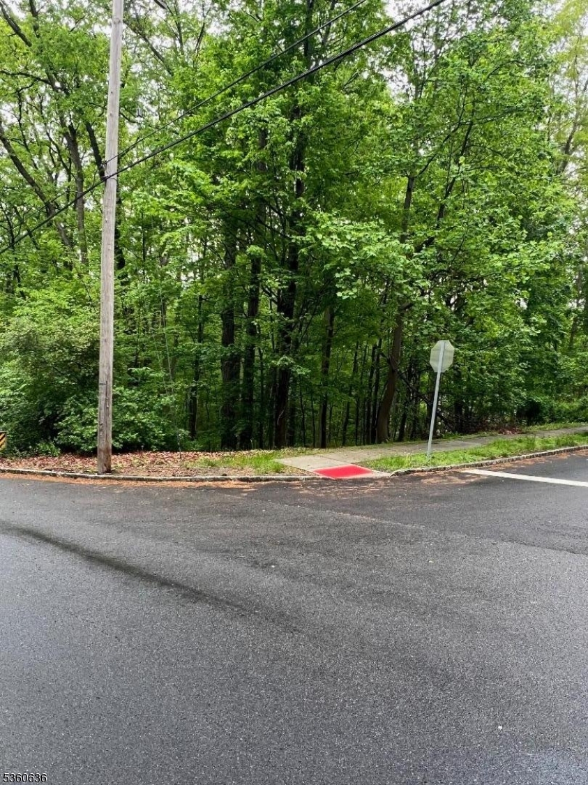 102 Ridge Road Hackettstown, NJ 07840 - Photo 2 of 4 a view of a field with a trees