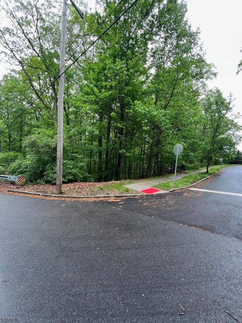 102 Ridge Road Hackettstown, NJ 07840 - Photo 3 of 4 a view of a road with a house in the background