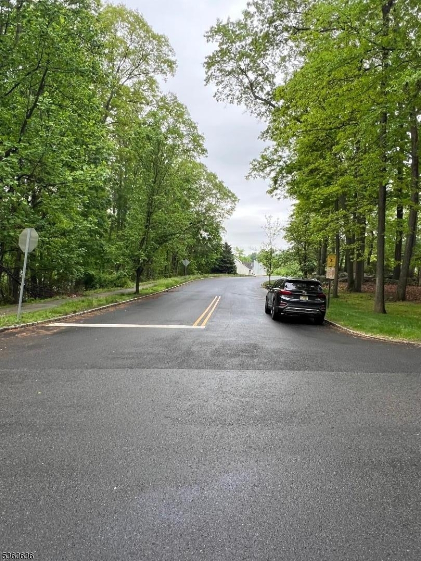 102 Ridge Road Hackettstown, NJ 07840 - Photo 4 of 4 a car parked on the side of the road
