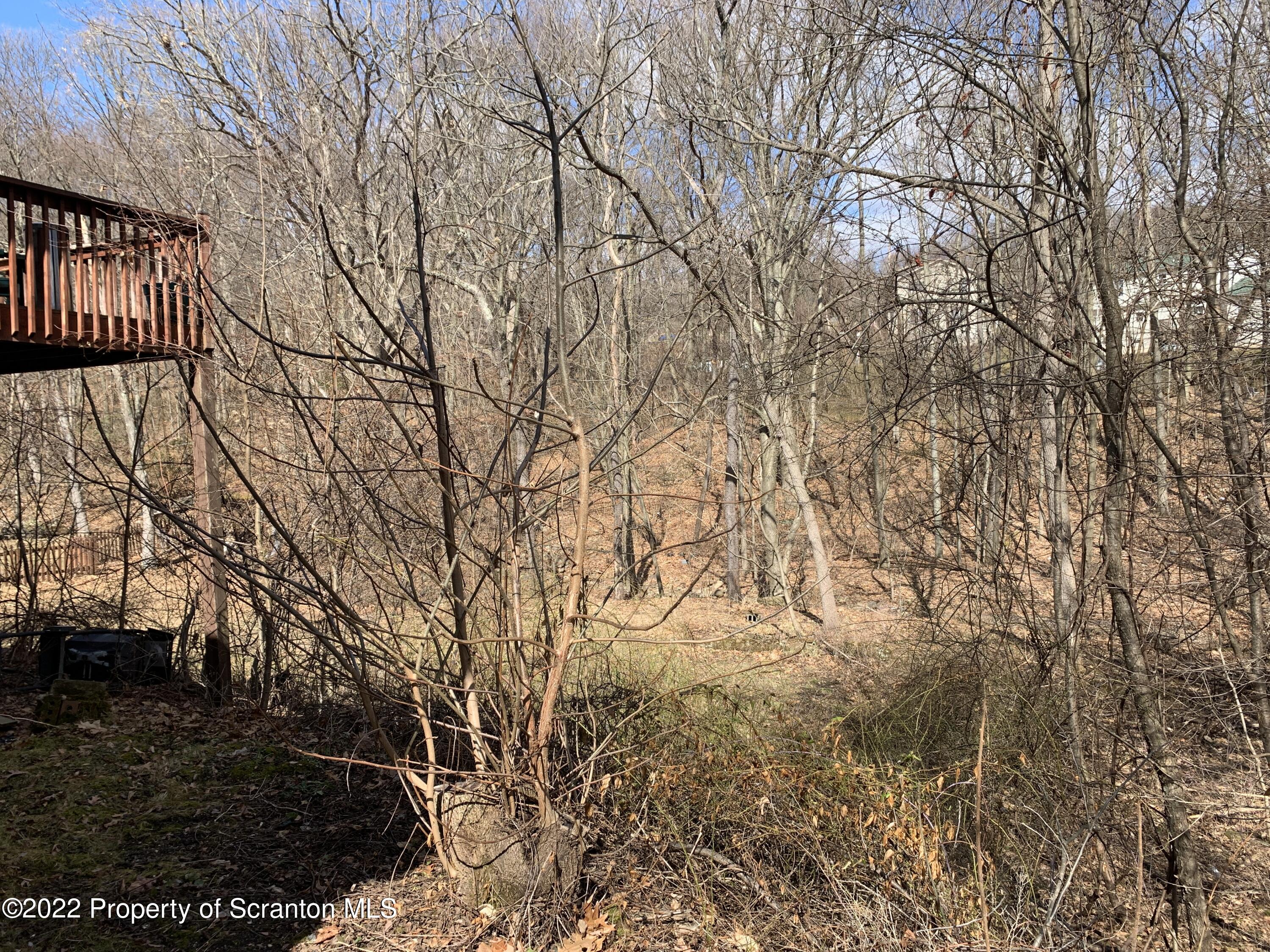 1028 Spring Street Old Forge, PA 18518 - Photo 8 of 53 Gallery Image 8