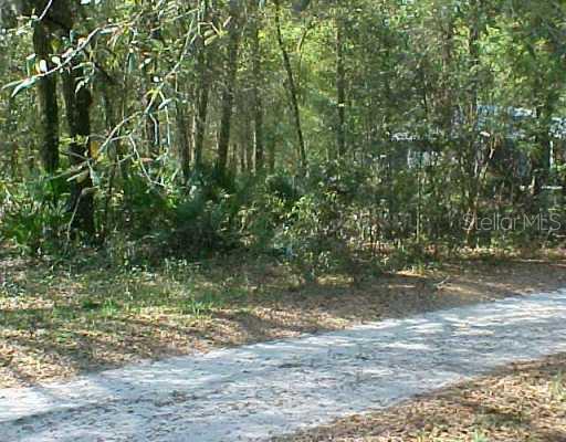 48 Way Sw Bushnell, FL 33513 - Photo 1 of 1 Exterior Front