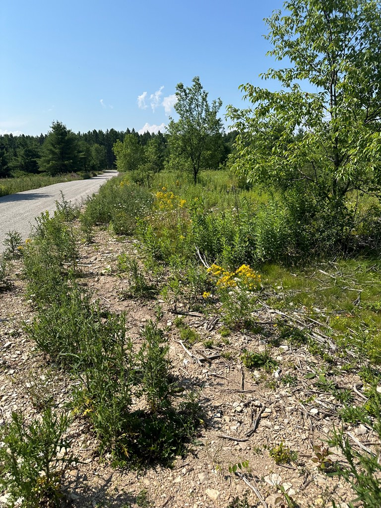 Lot #2 Wandering Down Road Fish Creek, WI 54212 - Photo 3 of 4