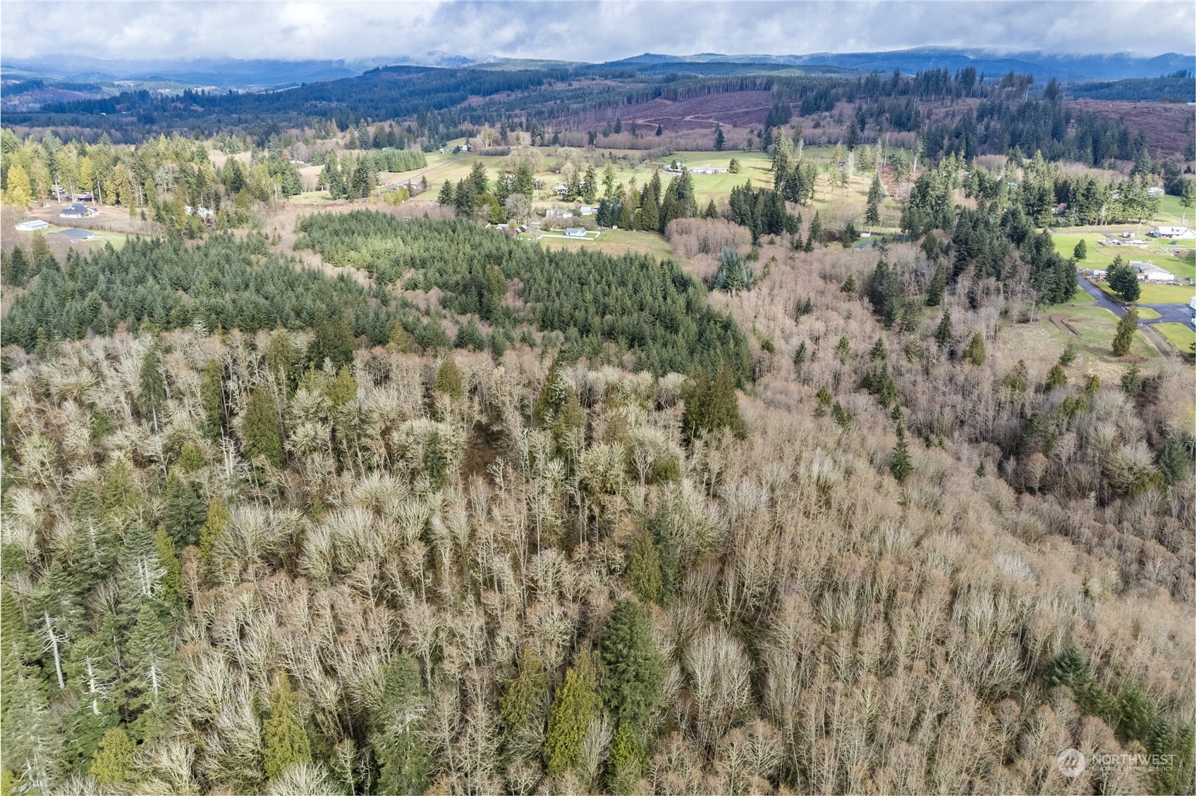 1313 Stella Road Longview, WA 98632 - Photo 11 of 20 a view of a forest with a building in the background