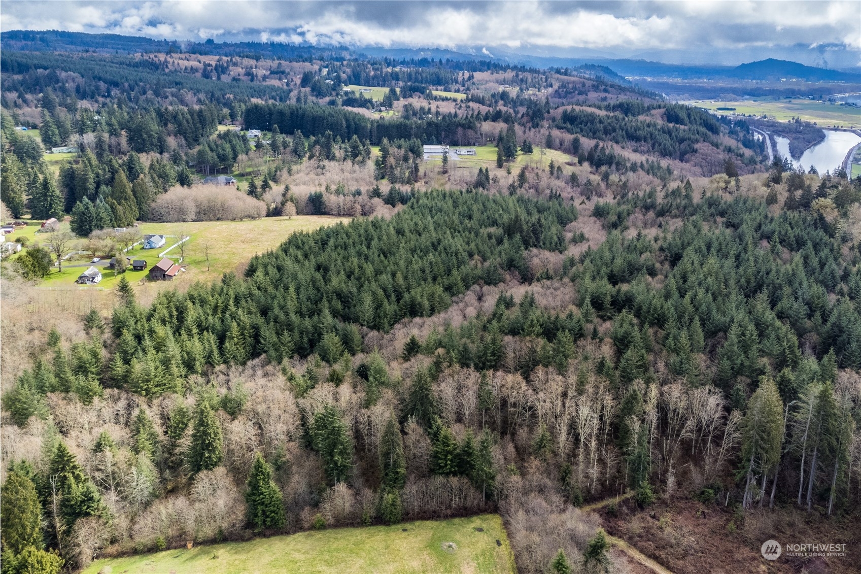 1313 Stella Road Longview, WA 98632 - Photo 9 of 20 a view of a lake with a city
