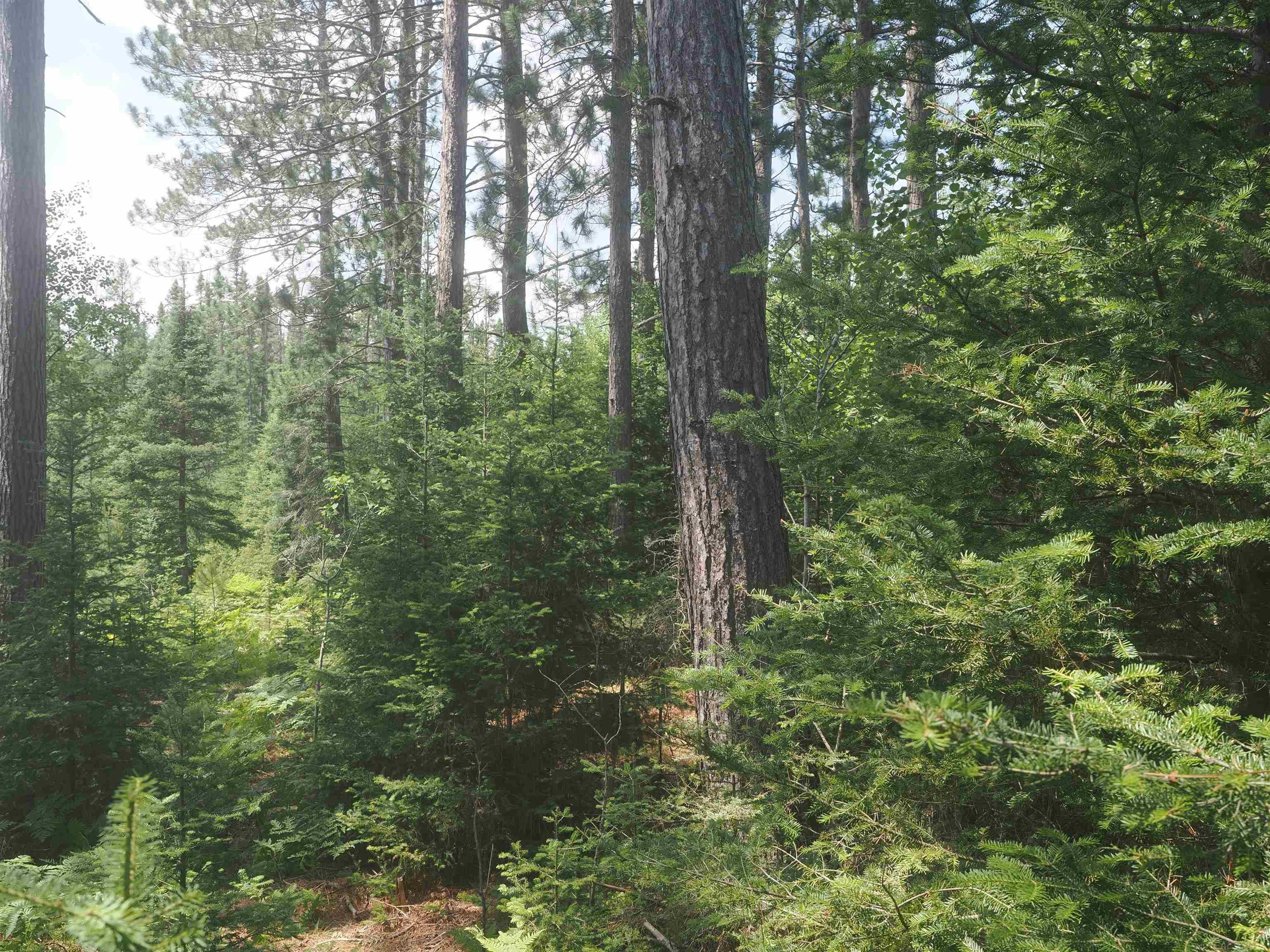 0 County Road Ishpeming, MI 49849 - Photo 8 of 85