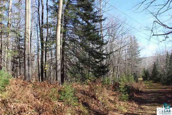 81565 Lenawee Road Herbster, WI 54844 - Photo 3 of 8