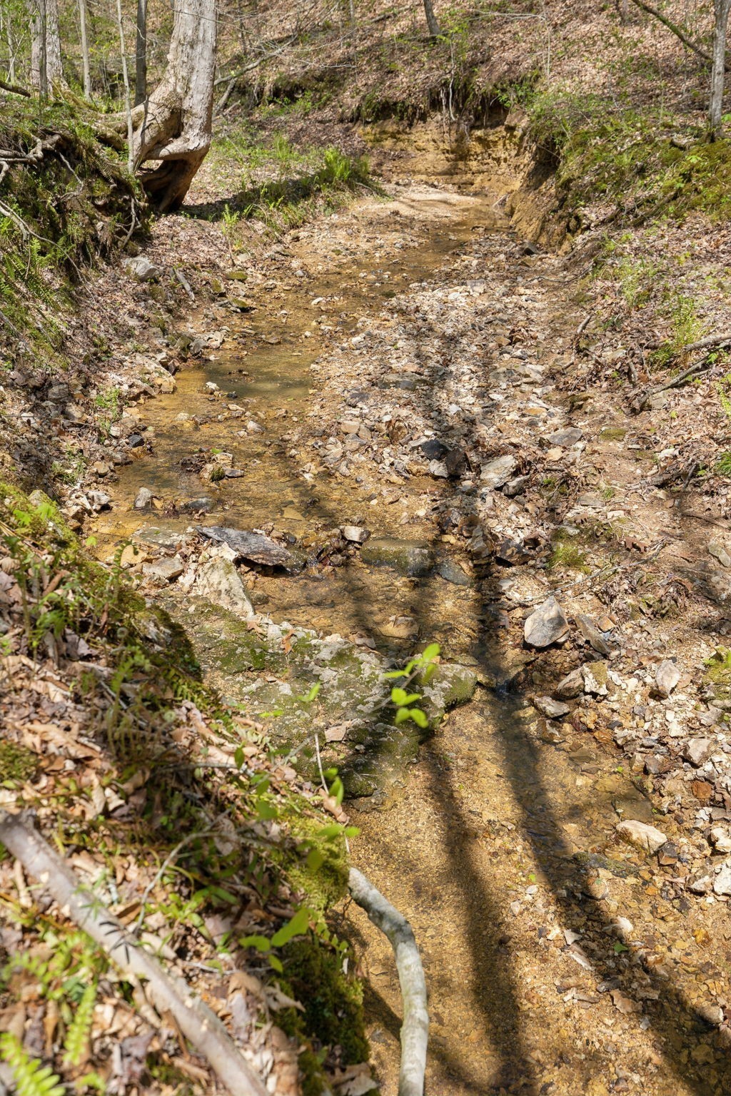 3467 Shouse Road Santa Fe, TN 38482 - Photo 36 of 55