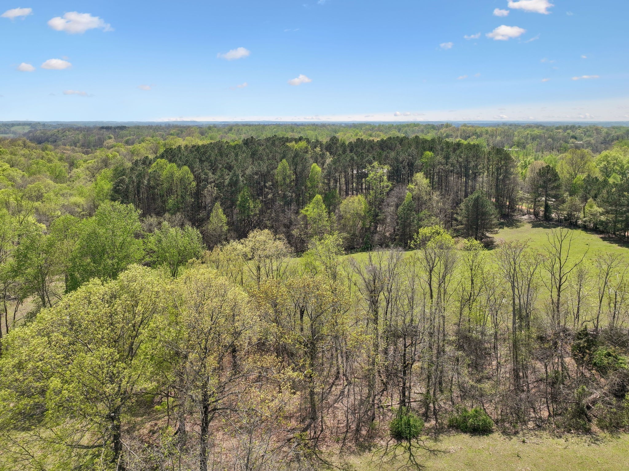 3467 Shouse Road Santa Fe, TN 38482 - Photo 52 of 55