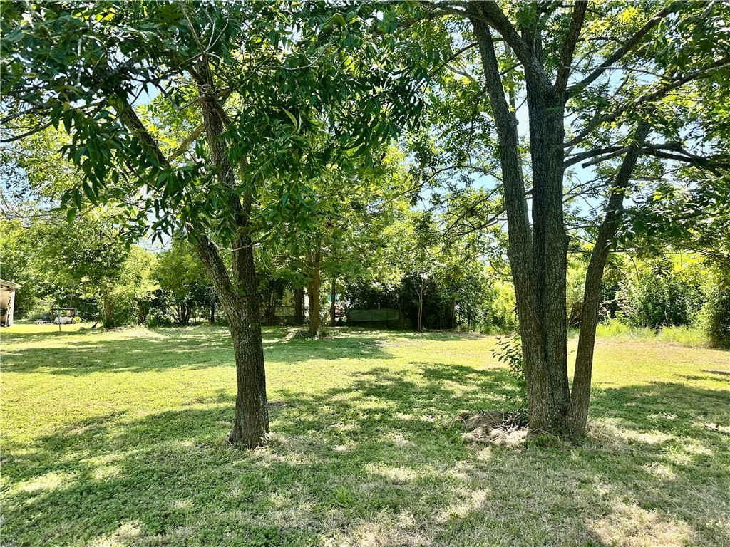 1009 South 18th Street Temple, TX 76501 - Photo 5 of 8 a view of a yard with trees