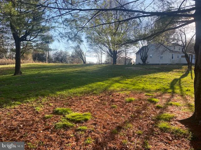 a view of a house with backyard and tree