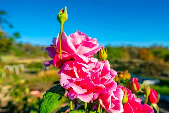 $927,000 | 4960 Creekhaven Road, Auburn, CA 95602