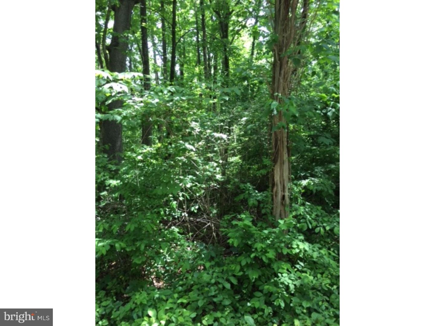 0 Schubelish Road Perkiomenville, PA 18074 - Photo 1 of 6 Gallery Image 1