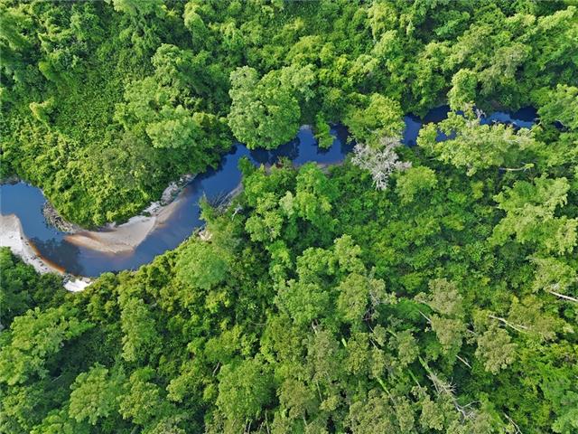 30062 Herman Bankston Road Albany, LA 70711 - Photo 5 of 5
