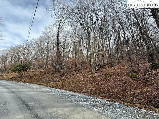 a view of a backyard with large trees