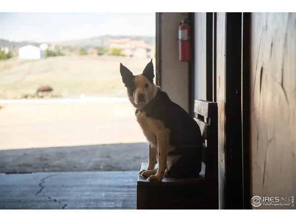 $1,990,000 | 871 North County Road, Berthoud, CO 80513