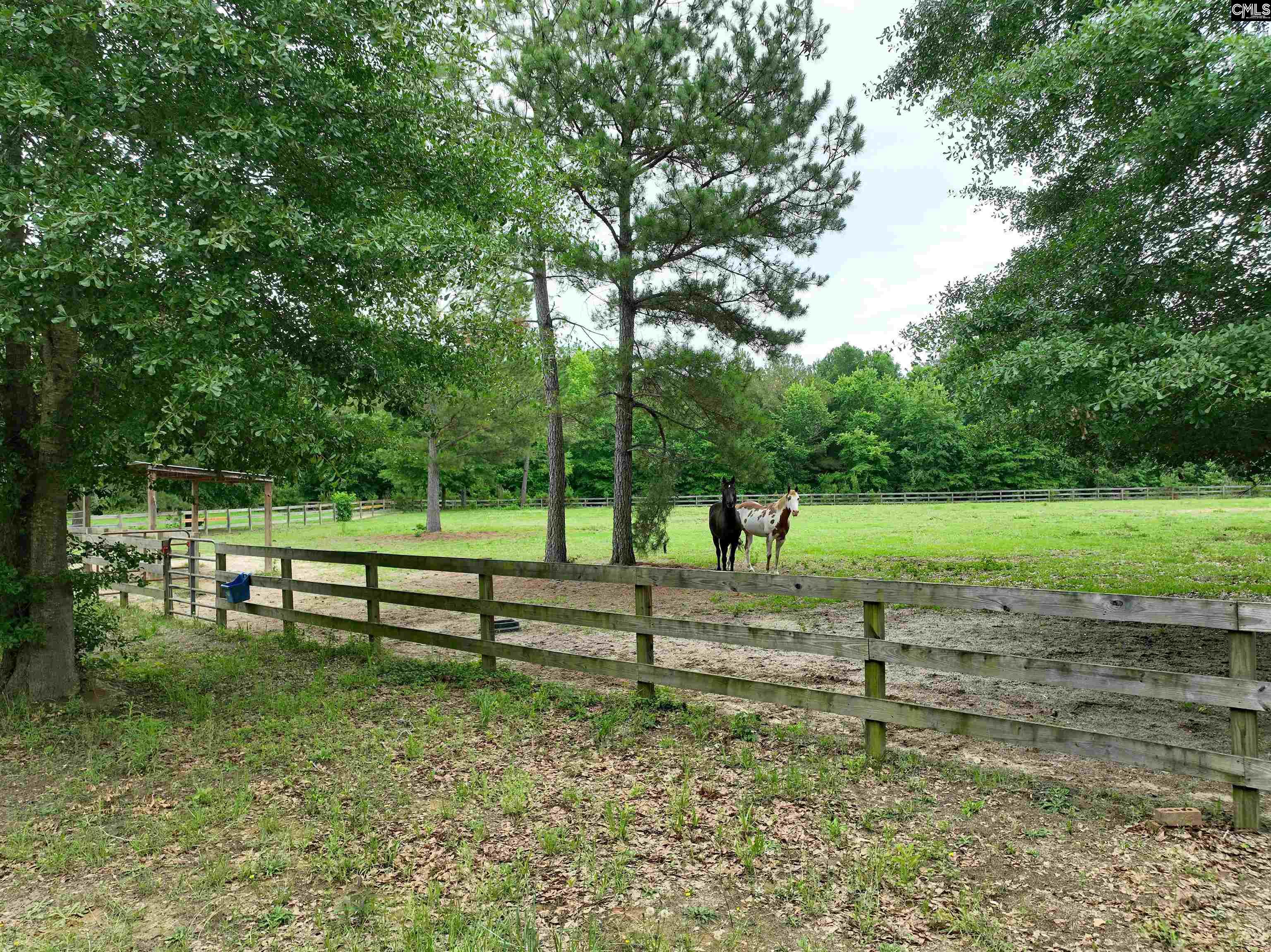 1141 Crosshill Road Hopkins, SC 29061 - Photo 26 of 38