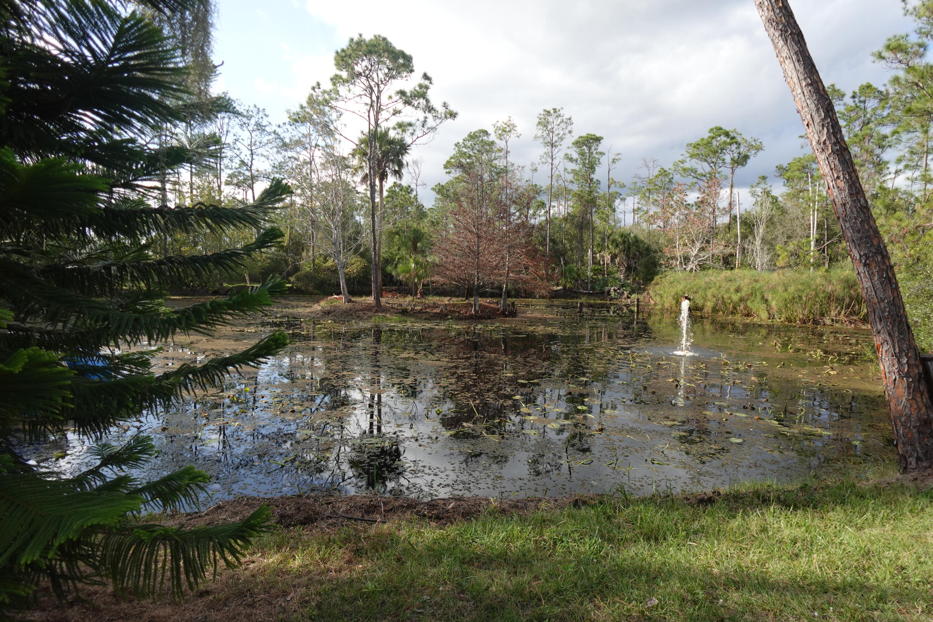 32801 Highway 441 Okeechobee, FL 34972 - Photo 20 of 20 DSC00331