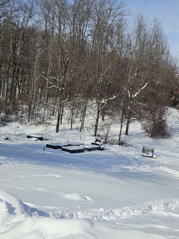 1535 Yeckley Road Hastings, MI 49058 - Photo 17 of 24 Garden boxes