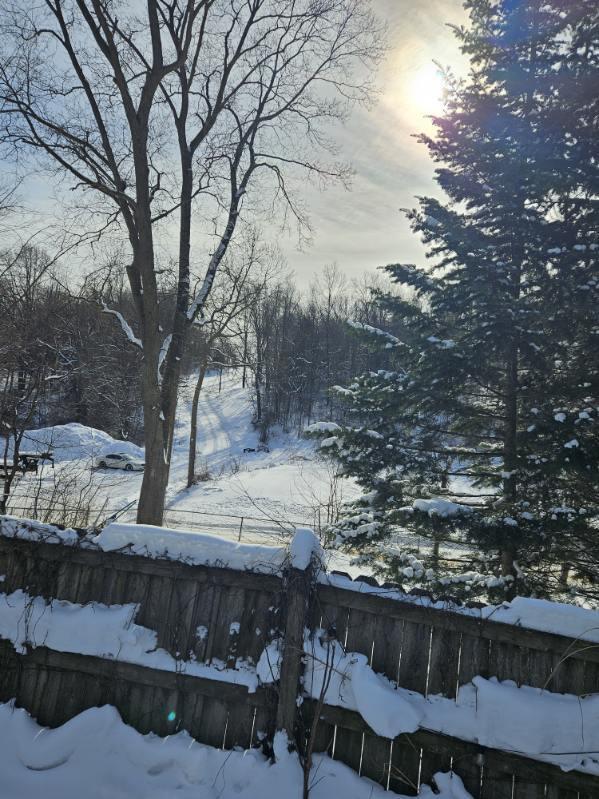 1535 Yeckley Road Hastings, MI 49058 - Photo 22 of 24 Fence View