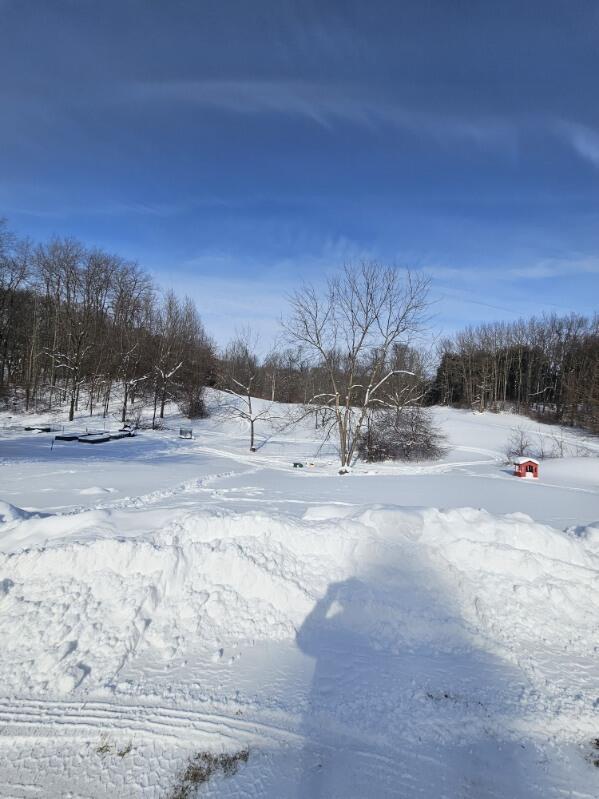 1535 Yeckley Road Hastings, MI 49058 - Photo 23 of 24 Backyard view