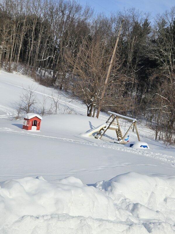 1535 Yeckley Road Hastings, MI 49058 - Photo 24 of 24 Backyard with toys
