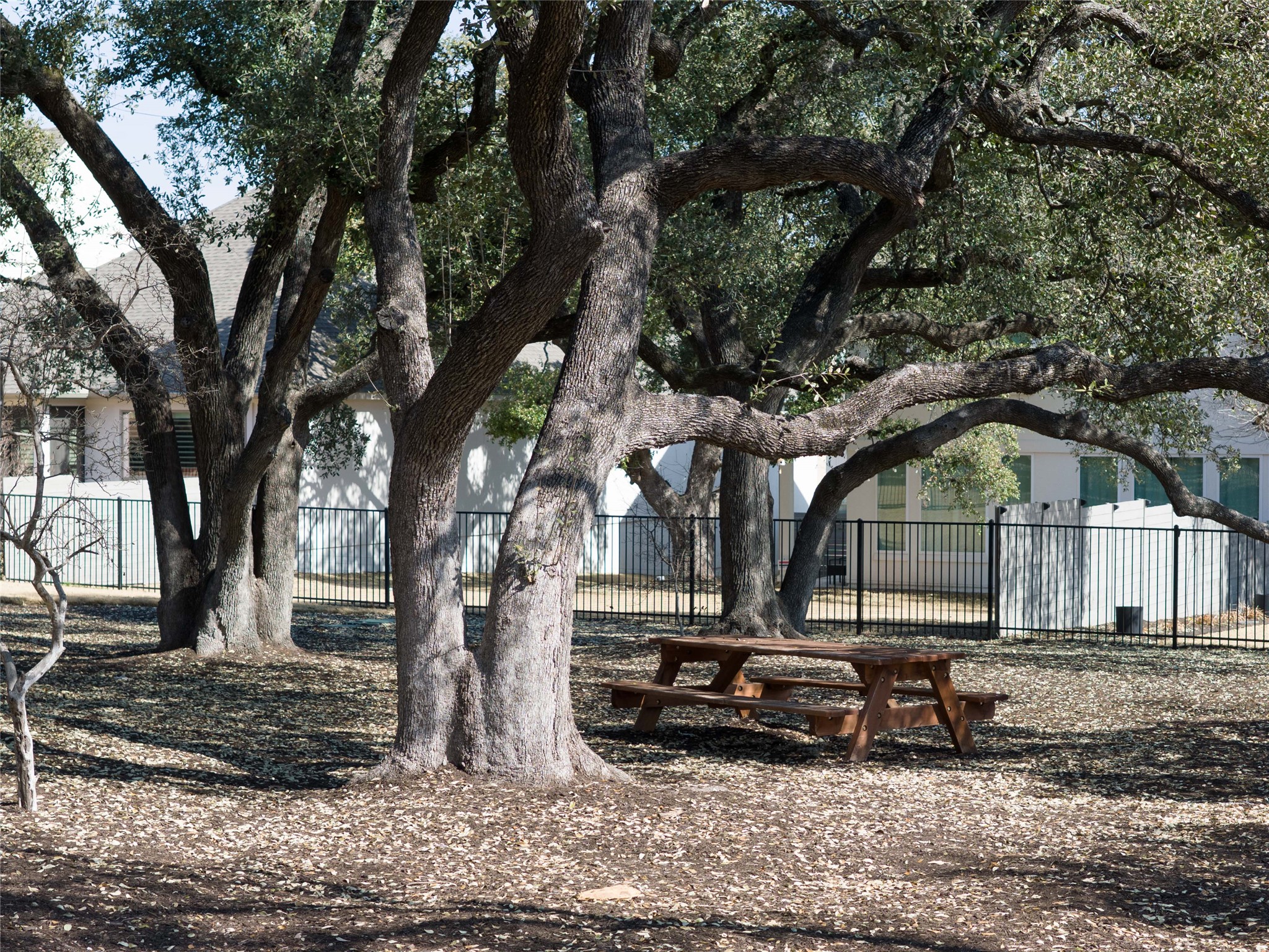 225 Diamondback Drive Georgetown, TX 78628 - Photo 38 of 40 View of community