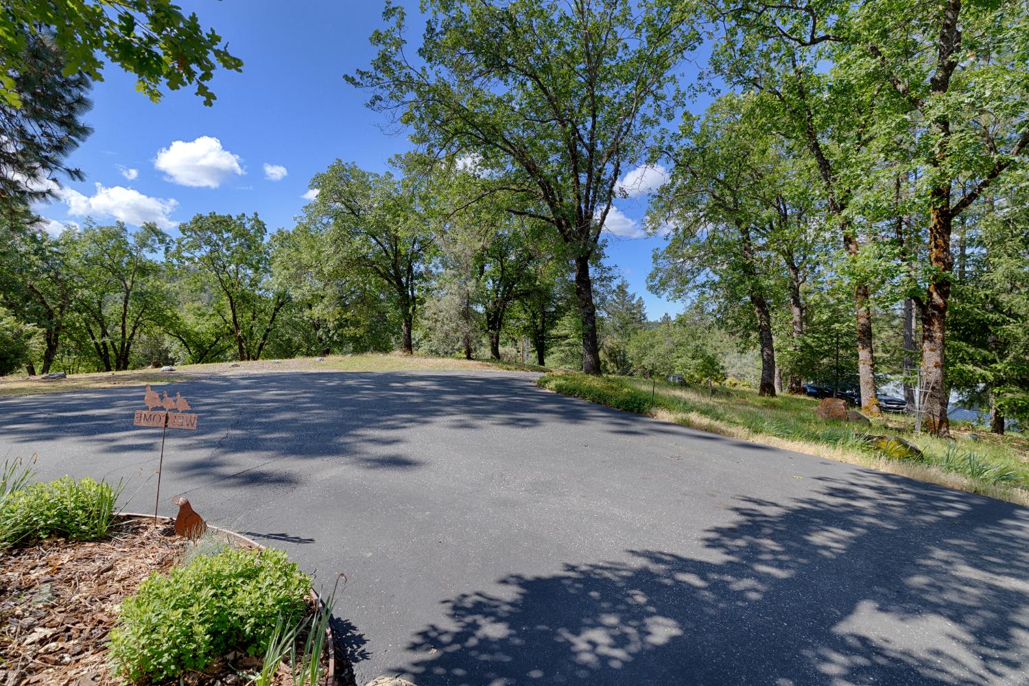 1880 Buck Ridge Court Colfax, CA 95713 - Photo 46 of 57