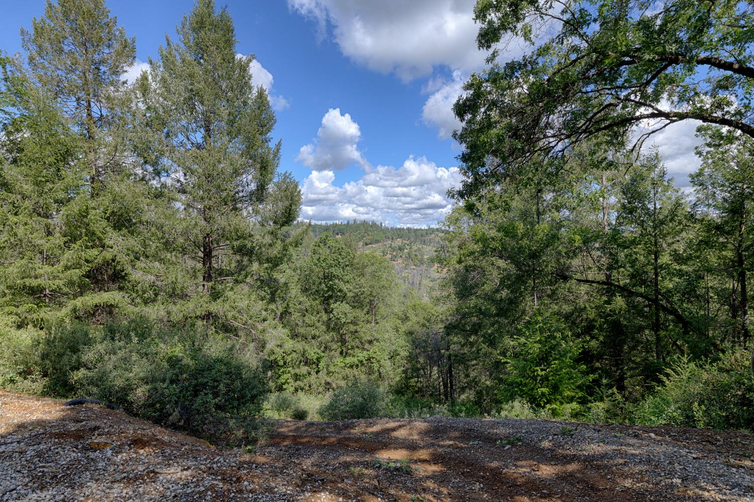 1880 Buck Ridge Court Colfax, CA 95713 - Photo 49 of 57