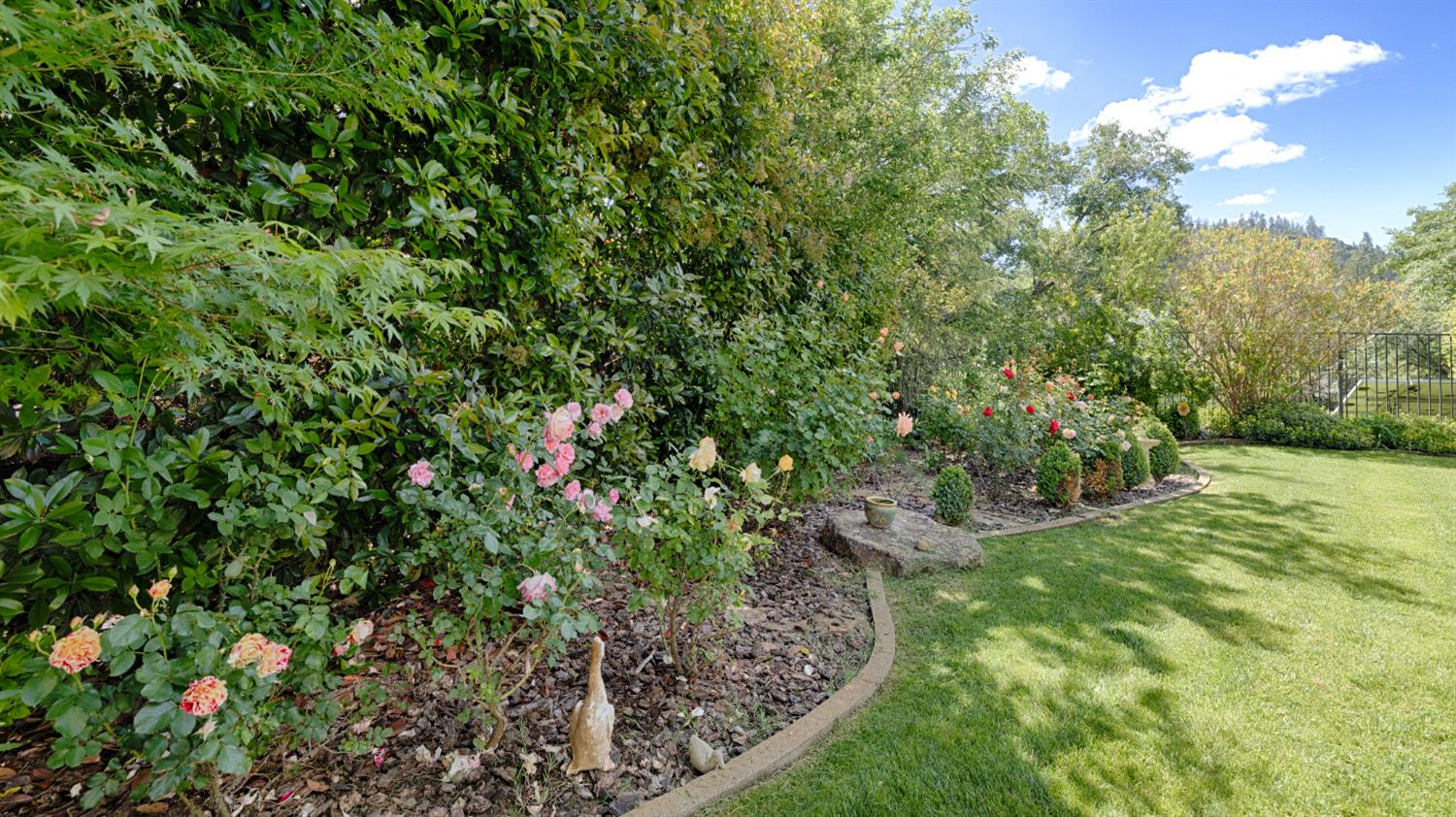 1880 Buck Ridge Court Colfax, CA 95713 - Photo 50 of 57