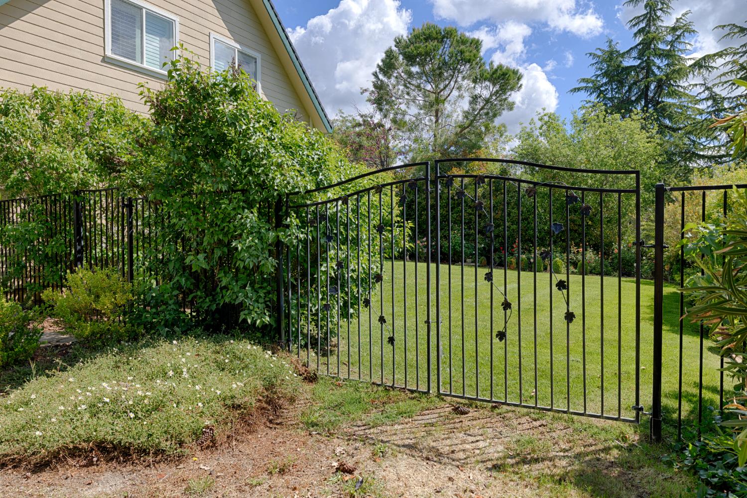 1880 Buck Ridge Court Colfax, CA 95713 - Photo 53 of 57