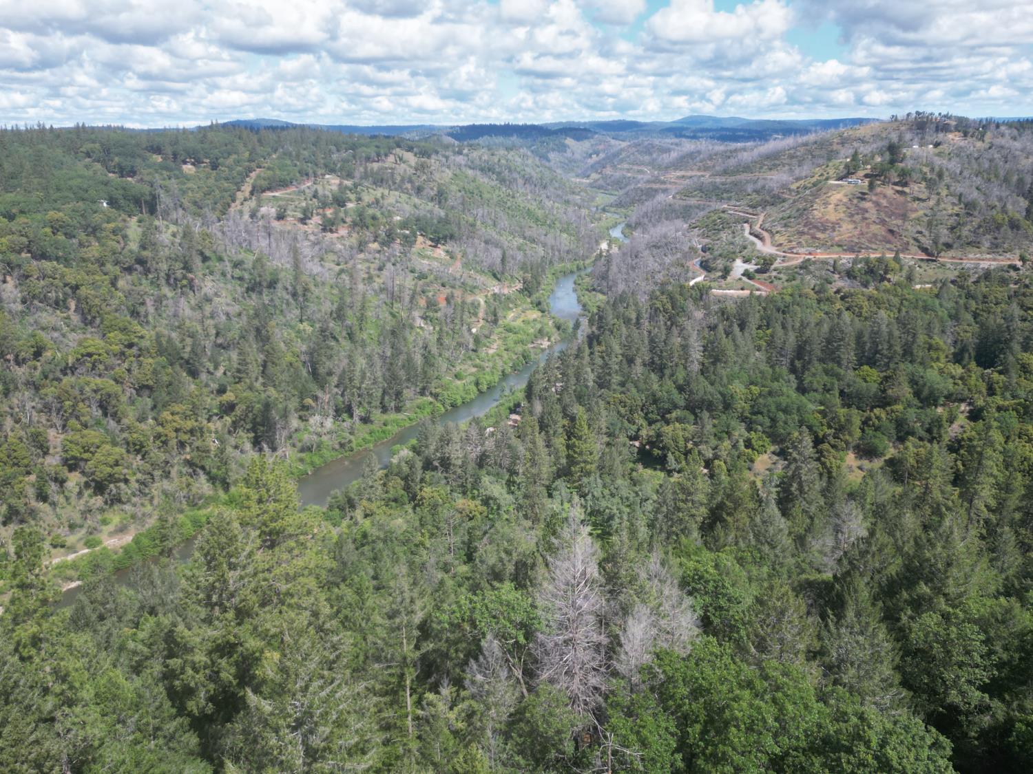 1880 Buck Ridge Court Colfax, CA 95713 - Photo 57 of 57