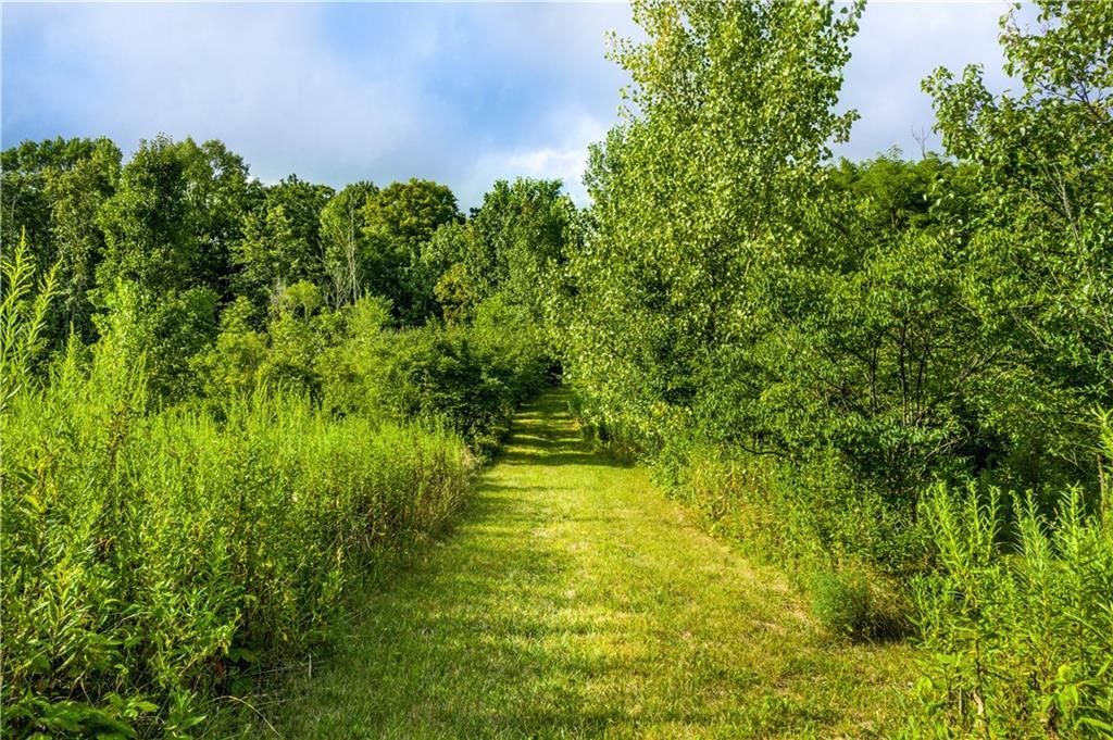 2541 Fox Hollow Road Springfield, OH 45504 - Photo 5 of 18