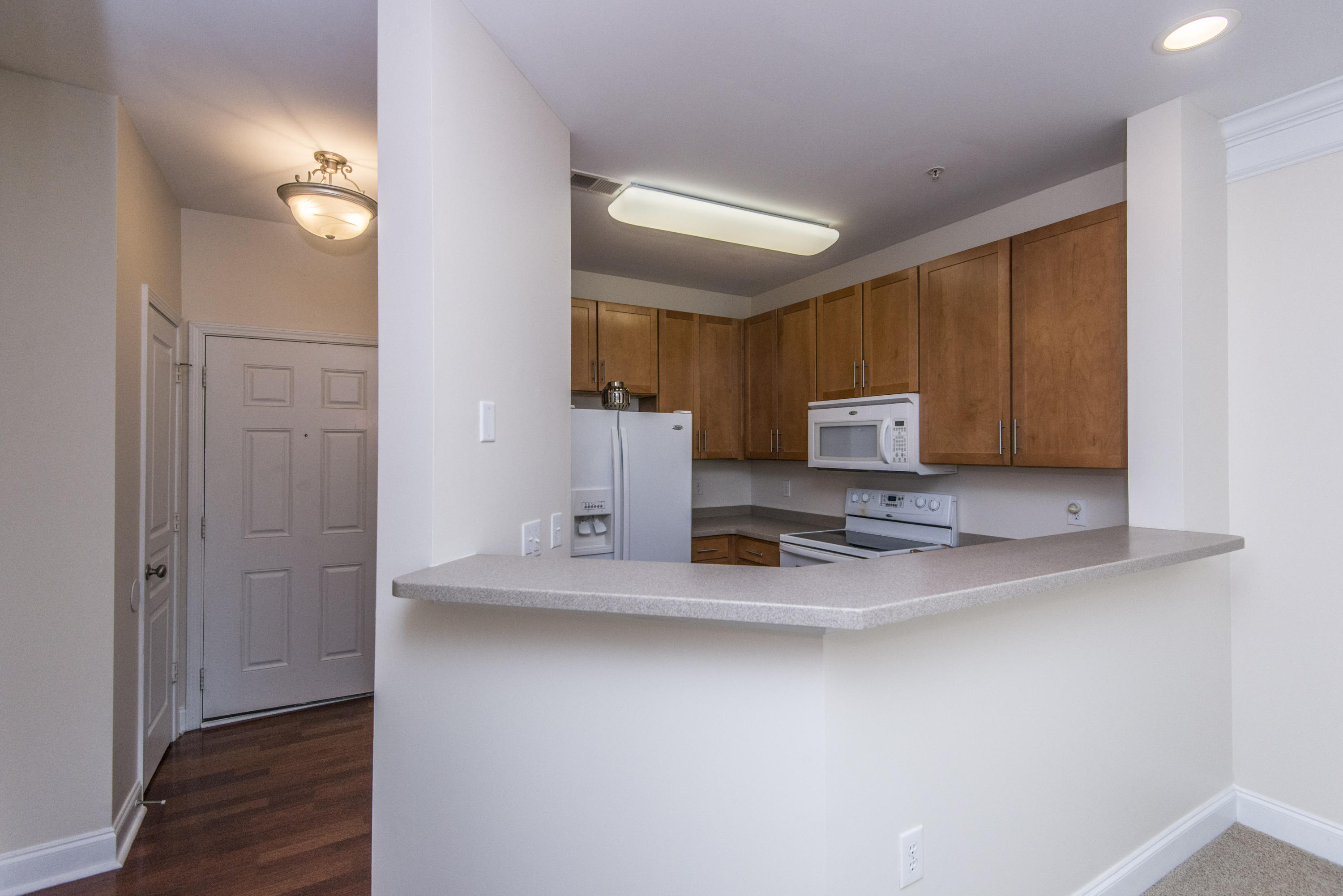 1115 Basildon Road Mount Pleasant, SC 29466 - Photo 4 of 25 _DSC8168