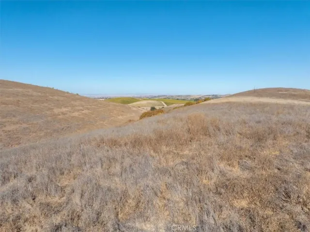 a view of ocean and green space