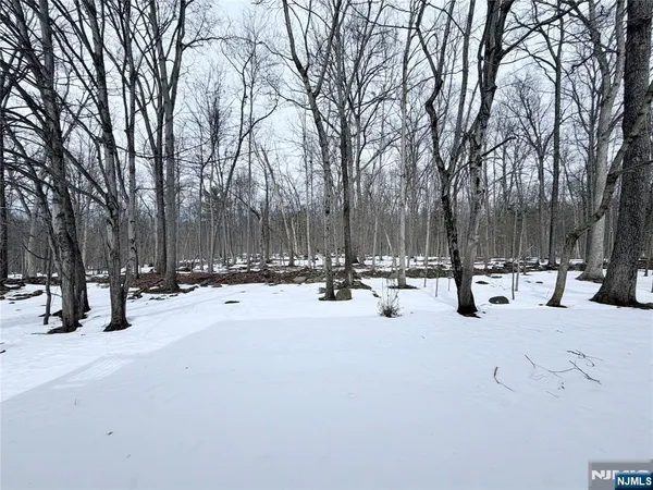 a view of a snow on a city street