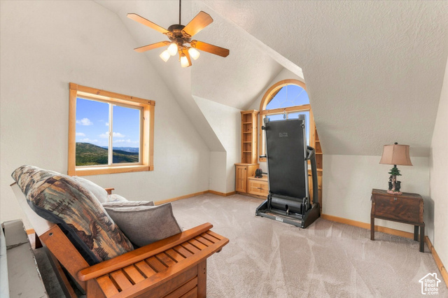 1701 Oak Road Coalville, UT 84017 - Photo 50 of 71 Pitched ceiling room featuring a ceiling fan, a window with wood trim, built-in shelving, an arched window, and carpet flooring