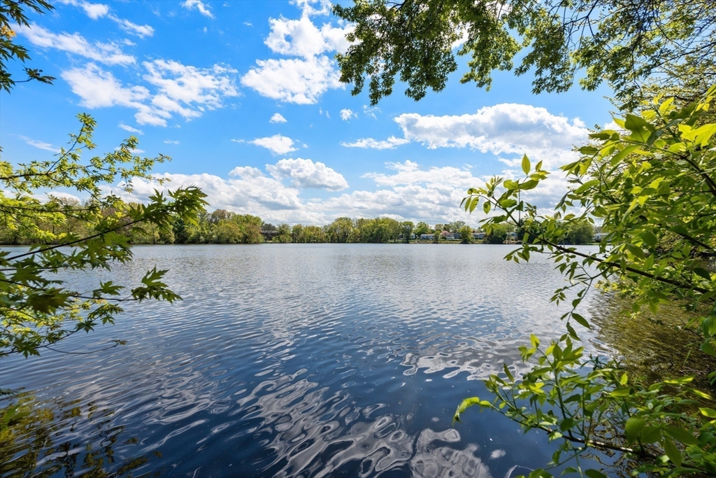 121 Oliver Road Belmont, MA 02478 - Photo 33 of 34 a view of a lake with a tree