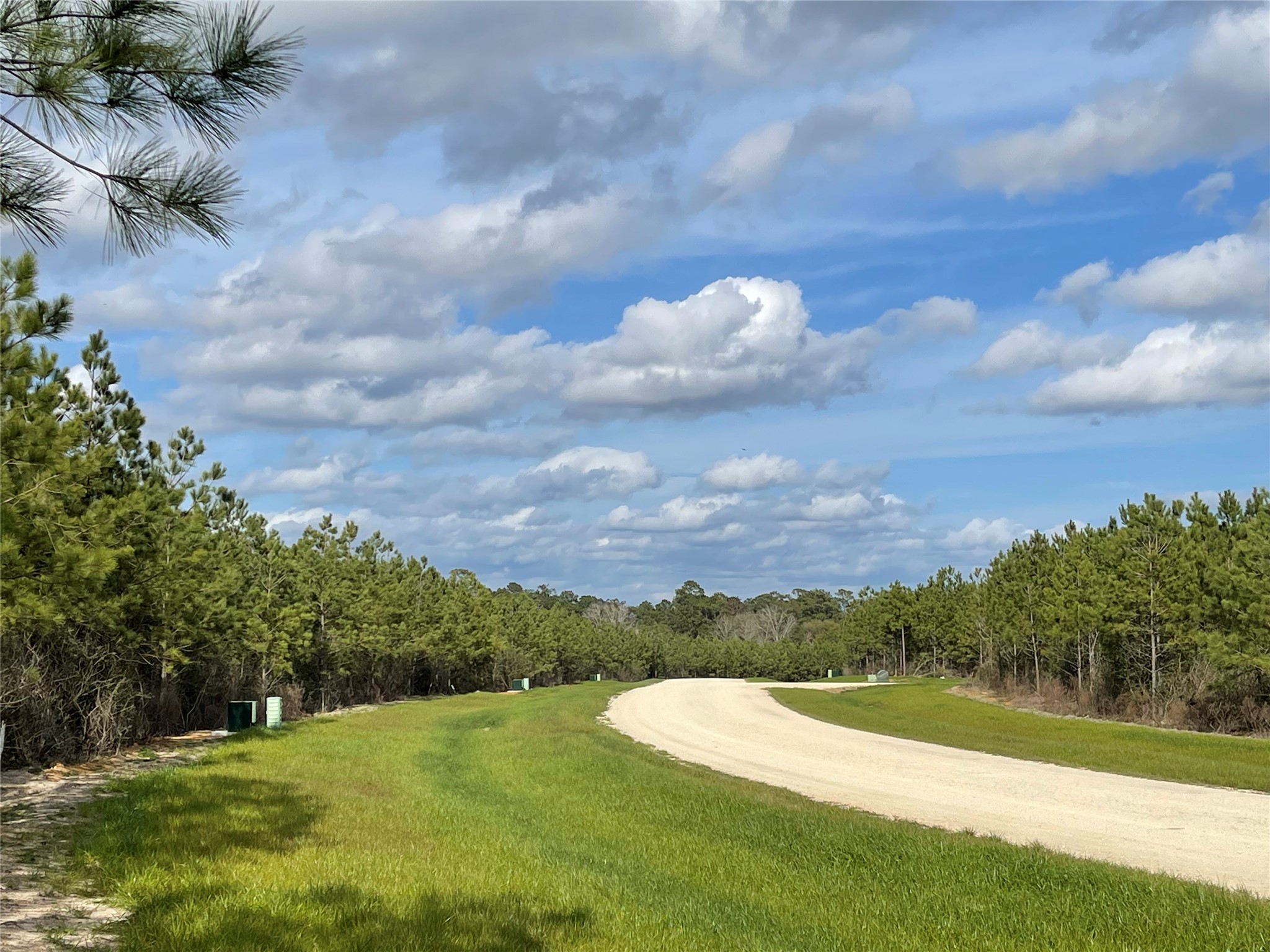 15699 Ridge Rock Road Willis, TX 77378 - Photo 3 of 19