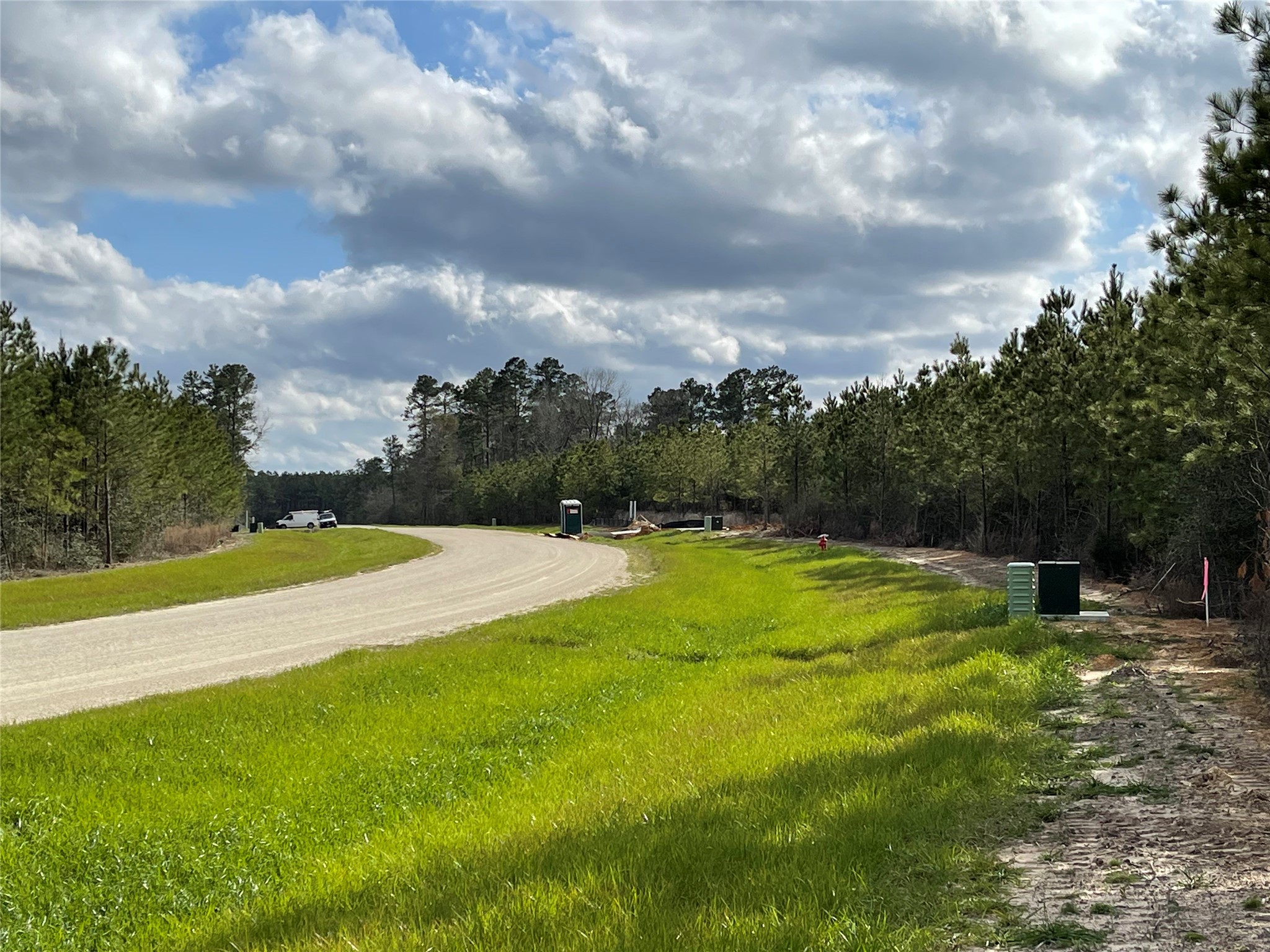 15699 Ridge Rock Road Willis, TX 77378 - Photo 5 of 19 a view of a yard with swimming pool and green space