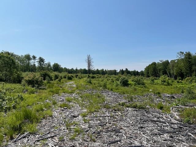 310 Highway 119 Fitzwilliam, NH 03447 - Photo 16 of 21