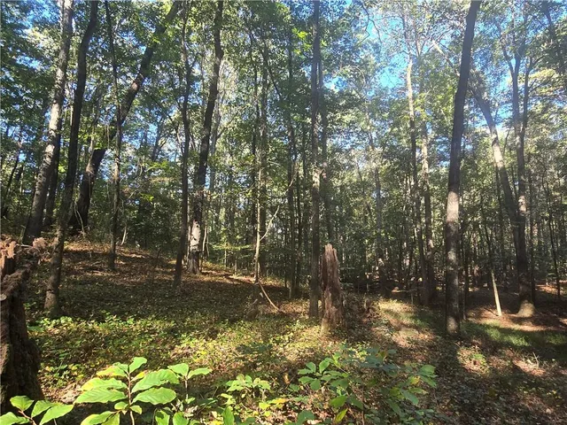 $300,000 | 1504 Academy Church Road, Jefferson, GA 30549