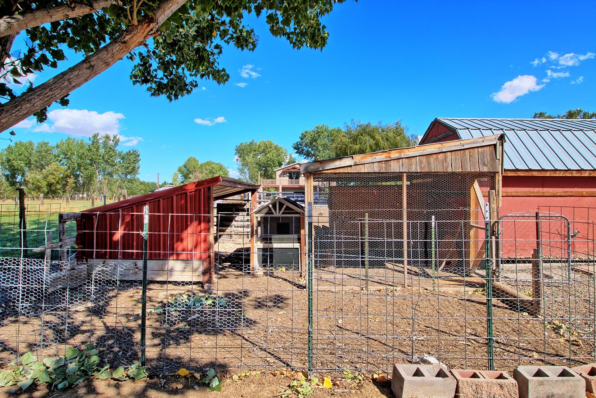 967 18 Road Fruita, CO 81521 - Photo 17 of 39 a view of a house with a yard and potted plants