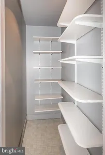 a view of walk in closet with empty racks