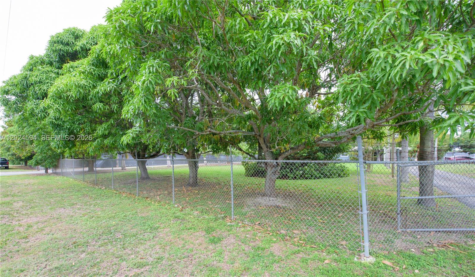 17355 Southwest 256th Street Homestead, FL 33031 - Photo 28 of 32 a backyard of a house with lots of green space