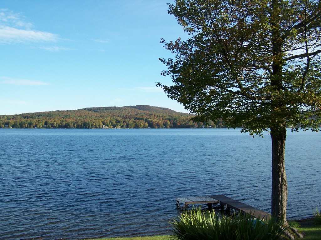 106 Wayeeses Shore Rd Morgan Morgan, VT 05872 - Photo 3 of 12 Gallery Image 3